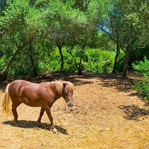 Es Fangar Sineu By Mallorca Selection Sineu (Mallorca)